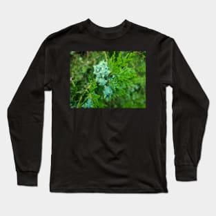 Forest Pine Tree Long Sleeve T-Shirt